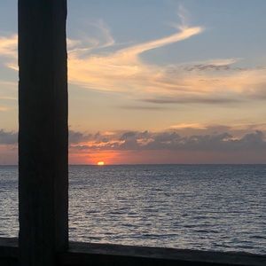 Meet your Posher, Thalia